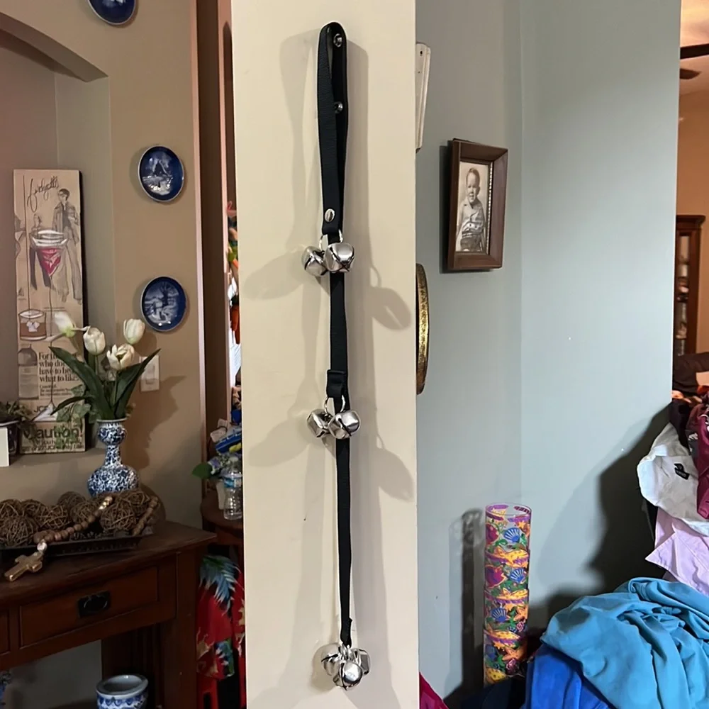 Dog ring trainer
